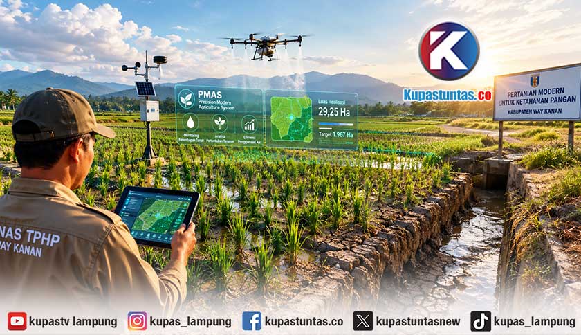 Kemarau Hambat Pertanian Modern di Way Kanan, Realisasi PMAS Baru 29,25 Hektare