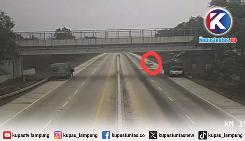 Detik-Detik Avanza Oleng ke Bahu Tol Terpeka, Tabrak Truk hingga 6 Orang Tewas