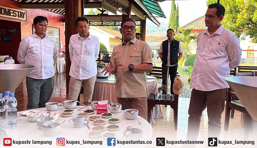PTPN I Perkuat Hilirisasi Kopi Ijen untuk Tingkatkan Daya Saing