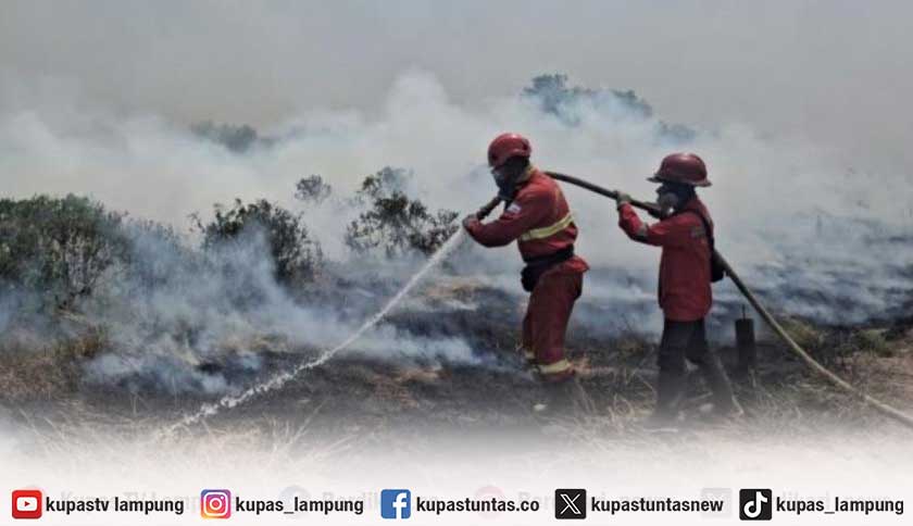 BMKG: Titik Panas di Sumatera Tembus 3.663, di Lampung Ada 471 Titik