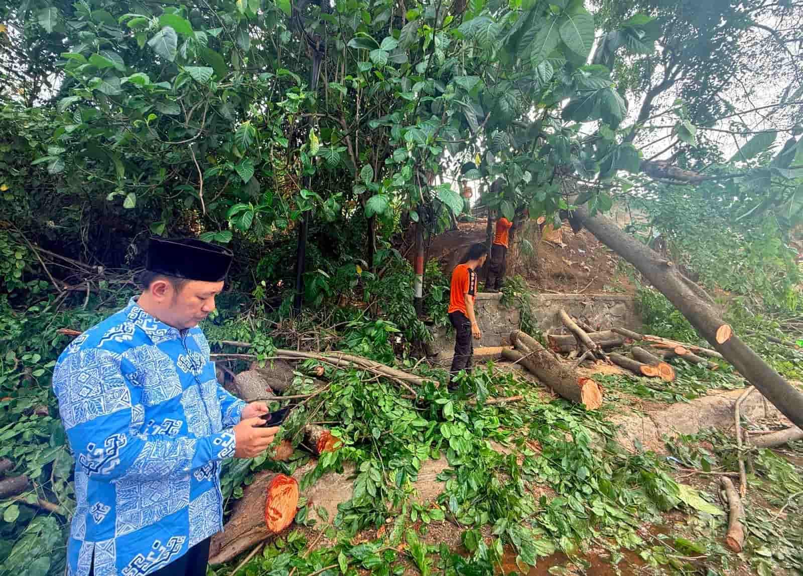 Angin Kencang Tumbangkan Pohon di Rajabasa, Dua Orang Luka