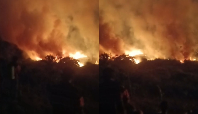 Kebakaran Lahan di Way Salang Batu Brak, Api Dikhawatirkan Merembet ke Kebun Kopi Warga