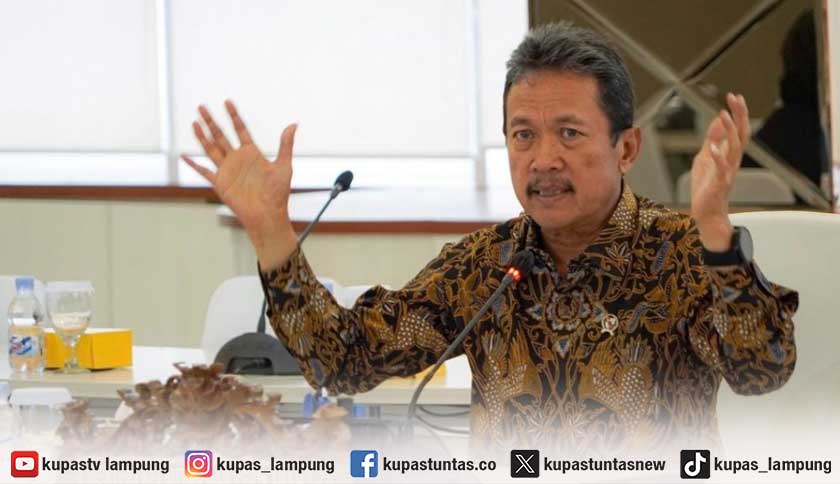 Pemerintah Bentuk Satgas Buru Jaringan Penyelundup Benur Lobster