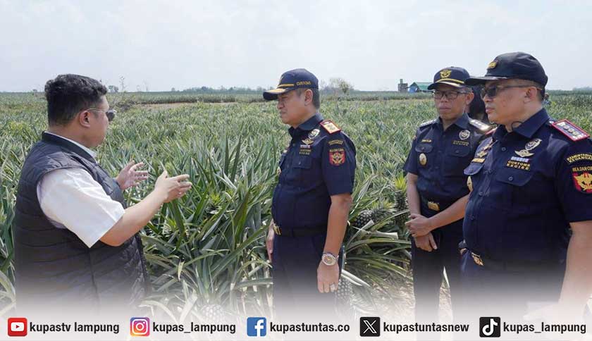 Hingga September 2026, Penerimaan Bea Cukai Sumbagbar Capai Rp 2,79 Triliun