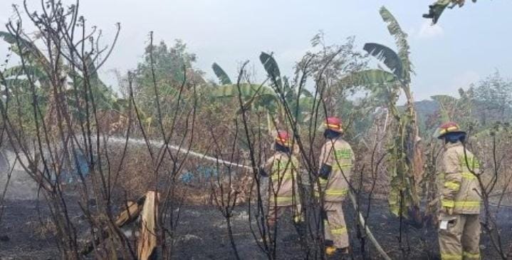 Kebakaran Lahan di Bumi Waras Bandar Lampung Nyaris Sambar Pemukiman