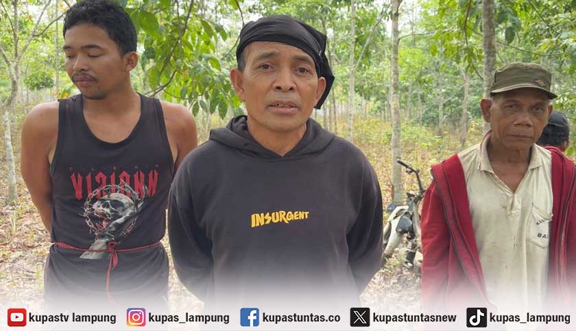 Pencurian Singkong hingga Sawit Resahkan Warga Mesuji, Kapolres Diminta Turun Tangan