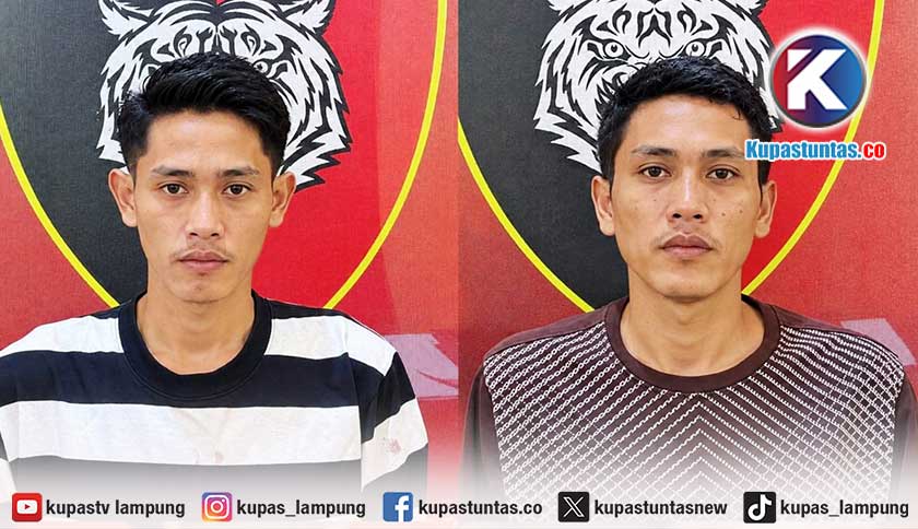 DPO 8 Bulan, Polisi Tangkap Dua Pelaku Curanmor di Tanggamus, Dua Masih Buron