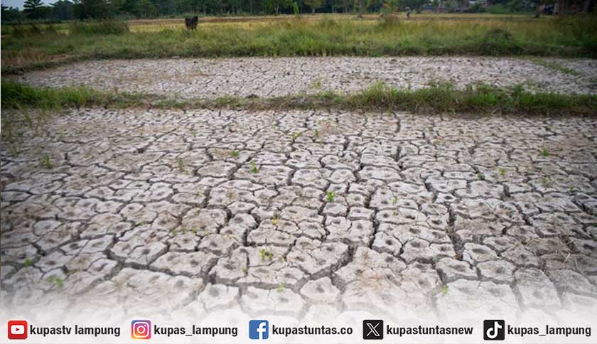 BMKG Keluarkan Peringatan Kekeringan, Sejumlah Wilayah Lampung Masuk Kategori Awas