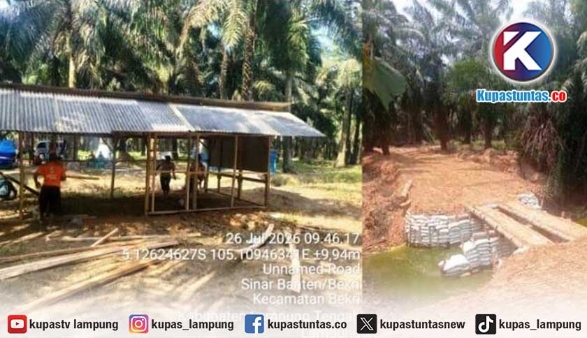 234 Hektare Bekri Dikuasai Okupan, Serikat Pekerja: Selamatkan Kebun Kami, Selamatkan Masa Depan Anak Kami