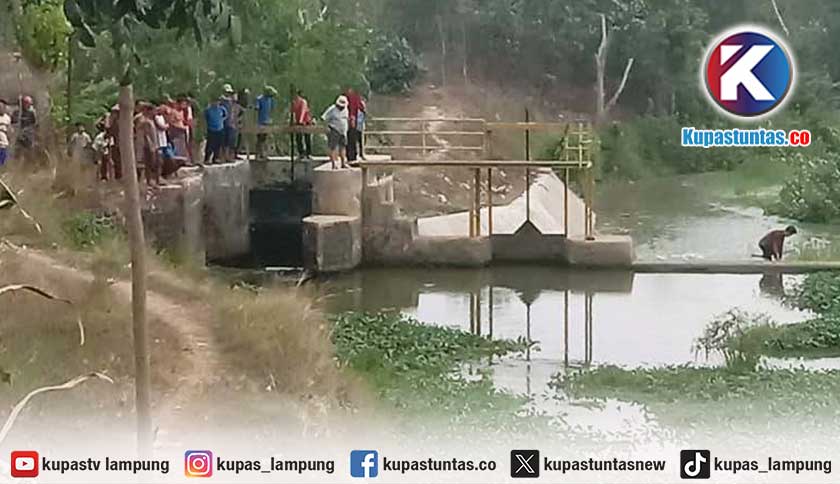 Tiga Bocah Tewas Tenggelam di Bendungan Pringsewu