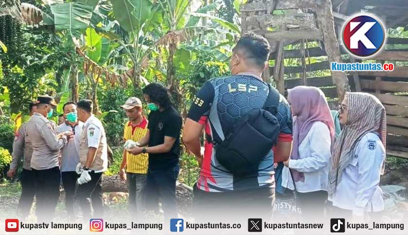 Diduga Faktor Ekonomi, Kurir Paket di Tanggamus Nekat Gantung Diri di Pohon Alpukat
