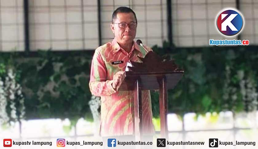 Produksi Kopi Tanggamus Capai 33.855 Ton, Pemkab Dorong UMKM Naik Kelas