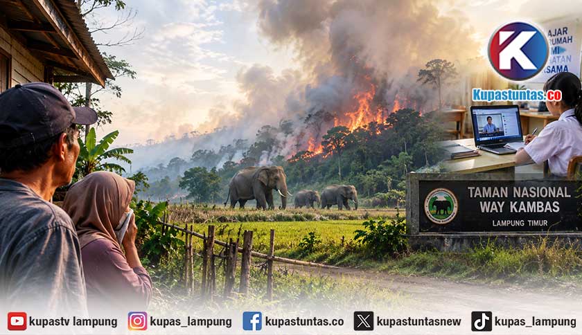 Karhutla Way Kambas: Warga Tegal Yoso Lamtim Cemas Gajah Masuk Permukiman, Siswa di Lamteng Daring
