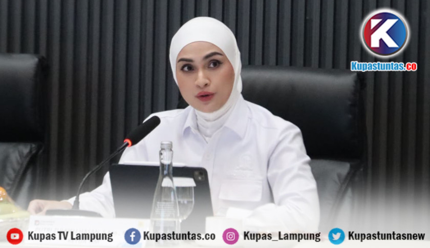 Tinjau Sektor Energi Lampung, Komisi XII DPR RI Apresiasi Keandalan Kelistrikan PLN