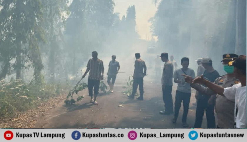 Puntung Rokok Diduga Picu Kebakaran 1,5 Hektare di Batu Tegi Tanggamus, Kerugian Ditaksir Rp80 Juta