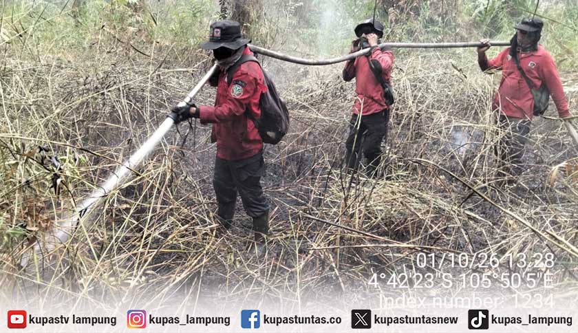 21 Kali Karhutla Terjadi di TN Way Kambas, Luas Terbakar Capai 7.000 Hektare