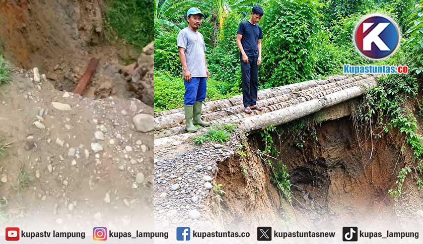 Gorong-Gorong Ambrol, Akses Utama Atar Lebar-Sanggi Unggak Tanggamus Nyaris Putus