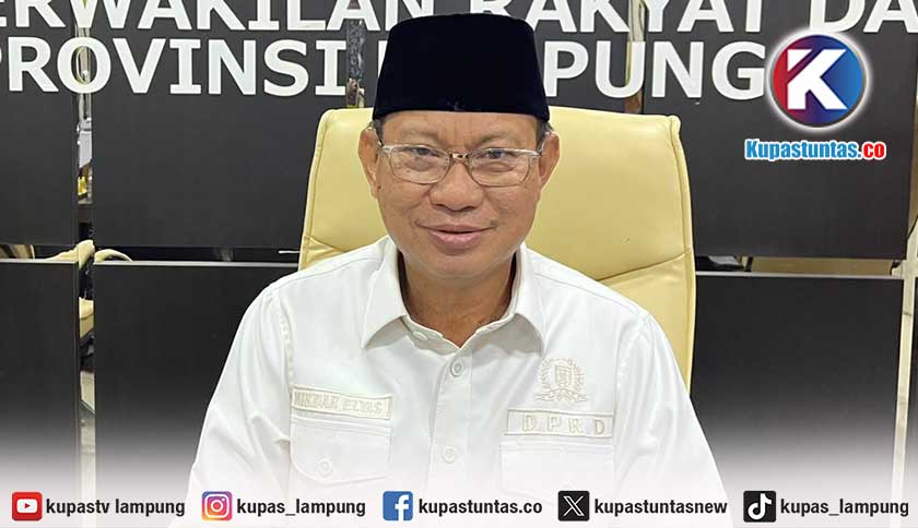 Perjuangan Pansus Singkong Berbuah Hasil, Impor Dihentikan dan Harga Tembus Rp3.000 per Kg