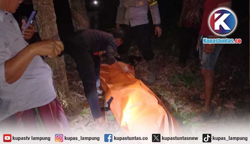 Diduga Curi Getah Karet, Warga Mesuji Tewas Dihakimi Massa