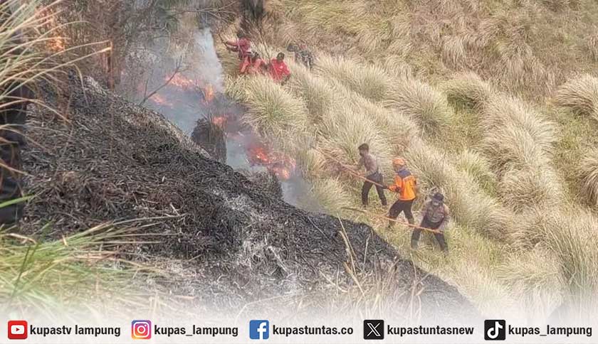 4 Petugas Gugur Saat Padamkan Karhutla Taman Nasional Bromo Tengger Semeru