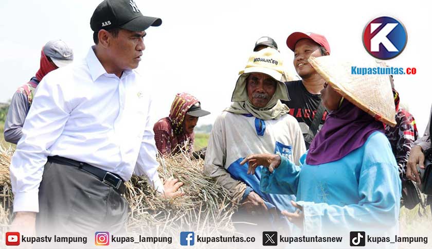 Kesejahteraan Petani Terus Menguat, NTP September 2026 Tembus 131,11