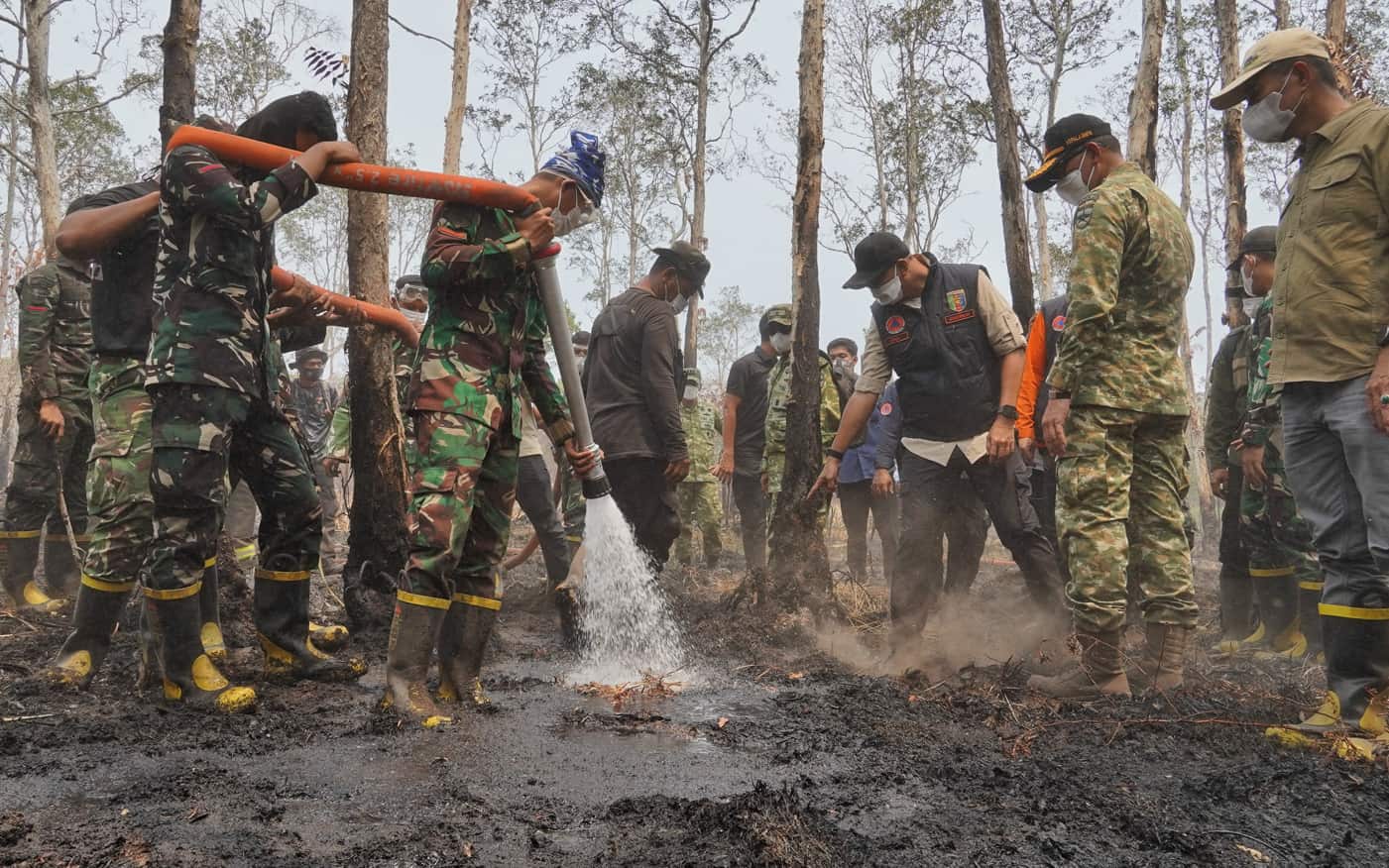 Karhutla TNWK Masih Sisakan 68 Hektare Area Terbakar, Pemprov Lampung Siapkan Pemeriksaan Kesehatan