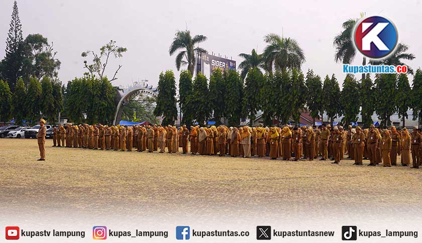 Investasi Lampung Capai Rp7,3 Triliun Serap 9.187 Tenaga Kerja