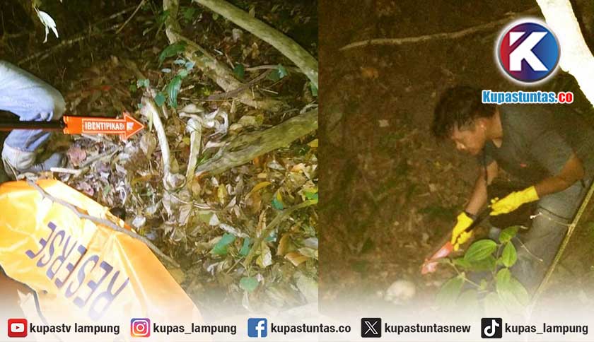 Warga Pesawaran Temukan Kerangka Manusia Saat Cari Madu di Tahura Wan Abdul Rachman